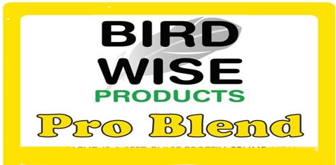Bird Wise small logo